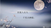富有诗意的中秋句子,诗意中秋夜