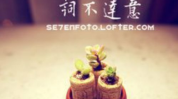 辞开头的成语,展望未来