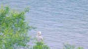 美丽图片风景头像女生